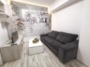 Apartament Palas 2 camere